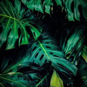 Meet your Posher, Mya